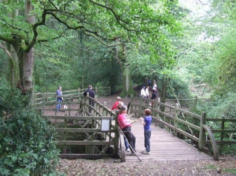 Die Brücke in Hartfield (East Sussex).   © Copyright Malc McDonald and licensed for reuse under this Creative Commons Licence.